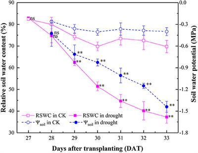 Corrigendum: Role of Hydraulic Signal and ABA in Decrease of Leaf Stomatal and Mesophyll Conductance in Soil Drought-Stressed Tomato